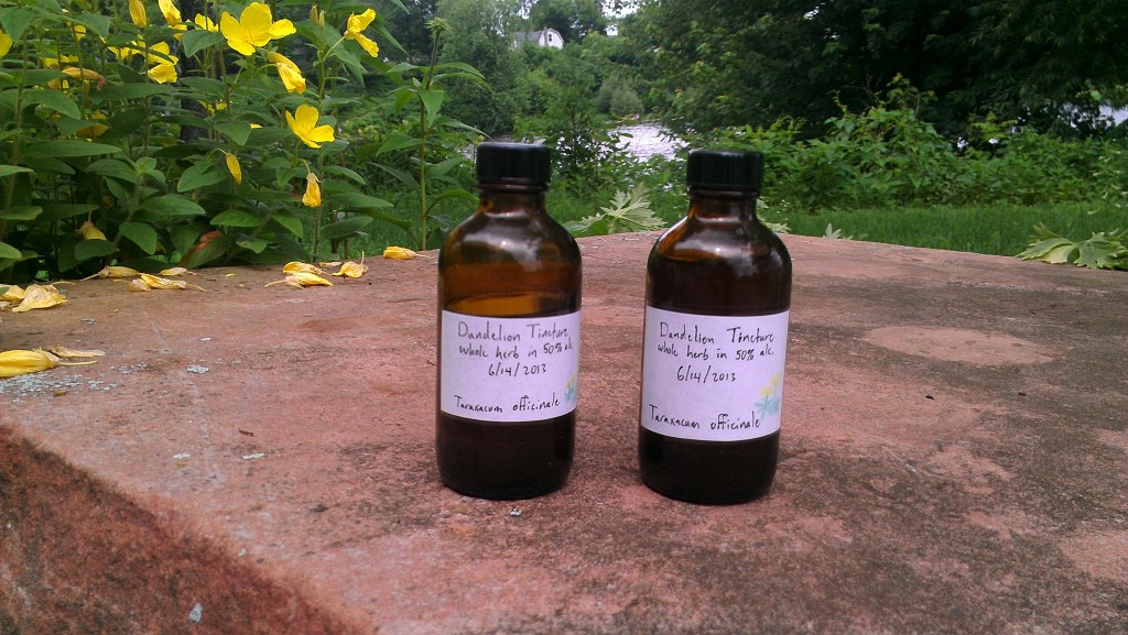 Tinctures all bottled, labeled, and ready to use!