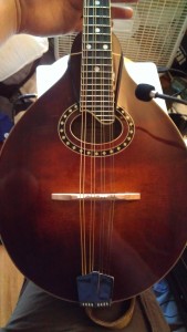 Mandolin with microphone attached